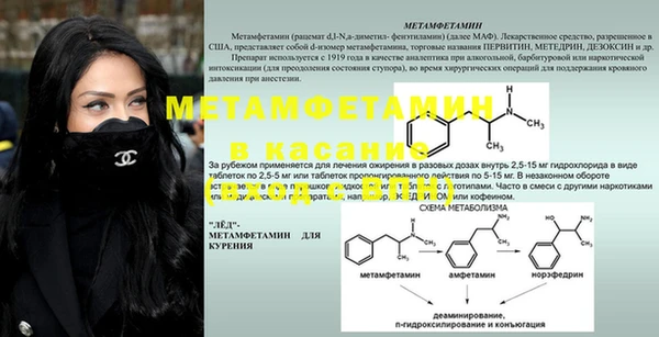 гидра Михайловка