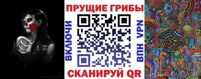 Купить  Челябинск  Псилоцибиновые грибы Psilocybe 